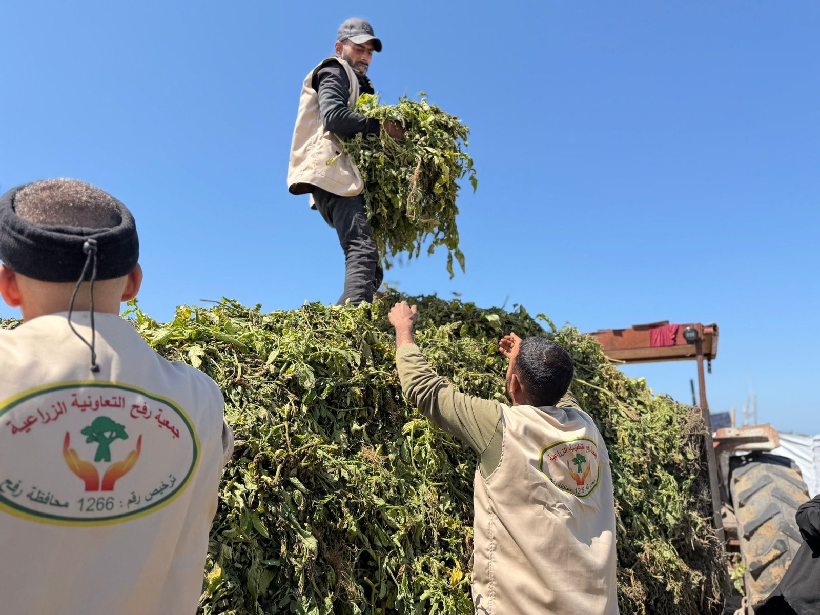 مشروع ذهب غزة الأسود (إنتاج الكمبوست)