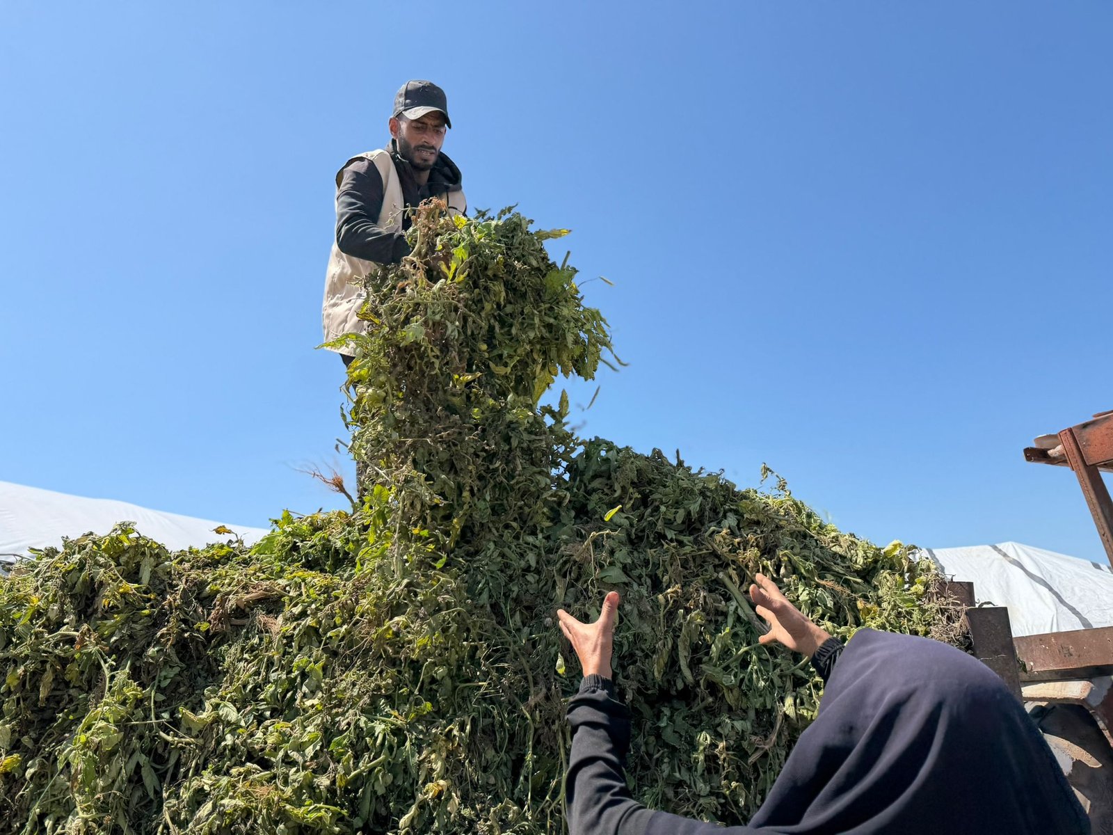 Animal Feed Production from Agricultural Waste