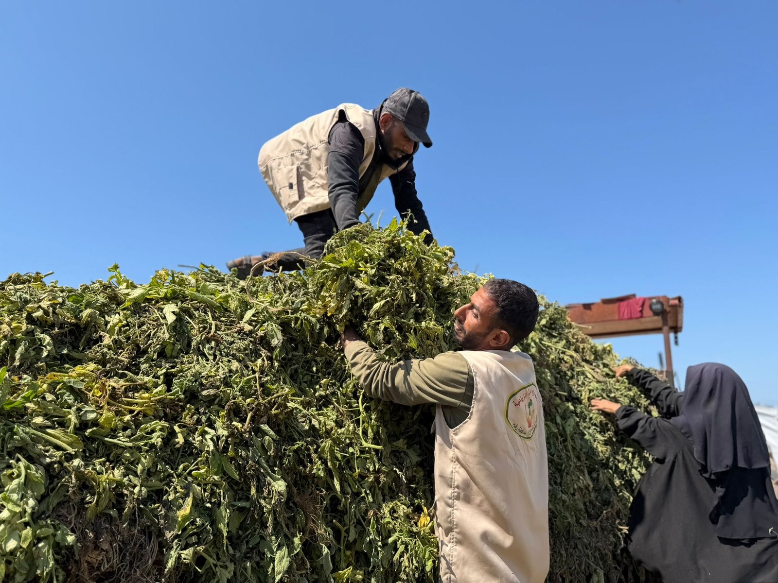 مشروع ذهب غزة الأسود (إنتاج الكمبوست)