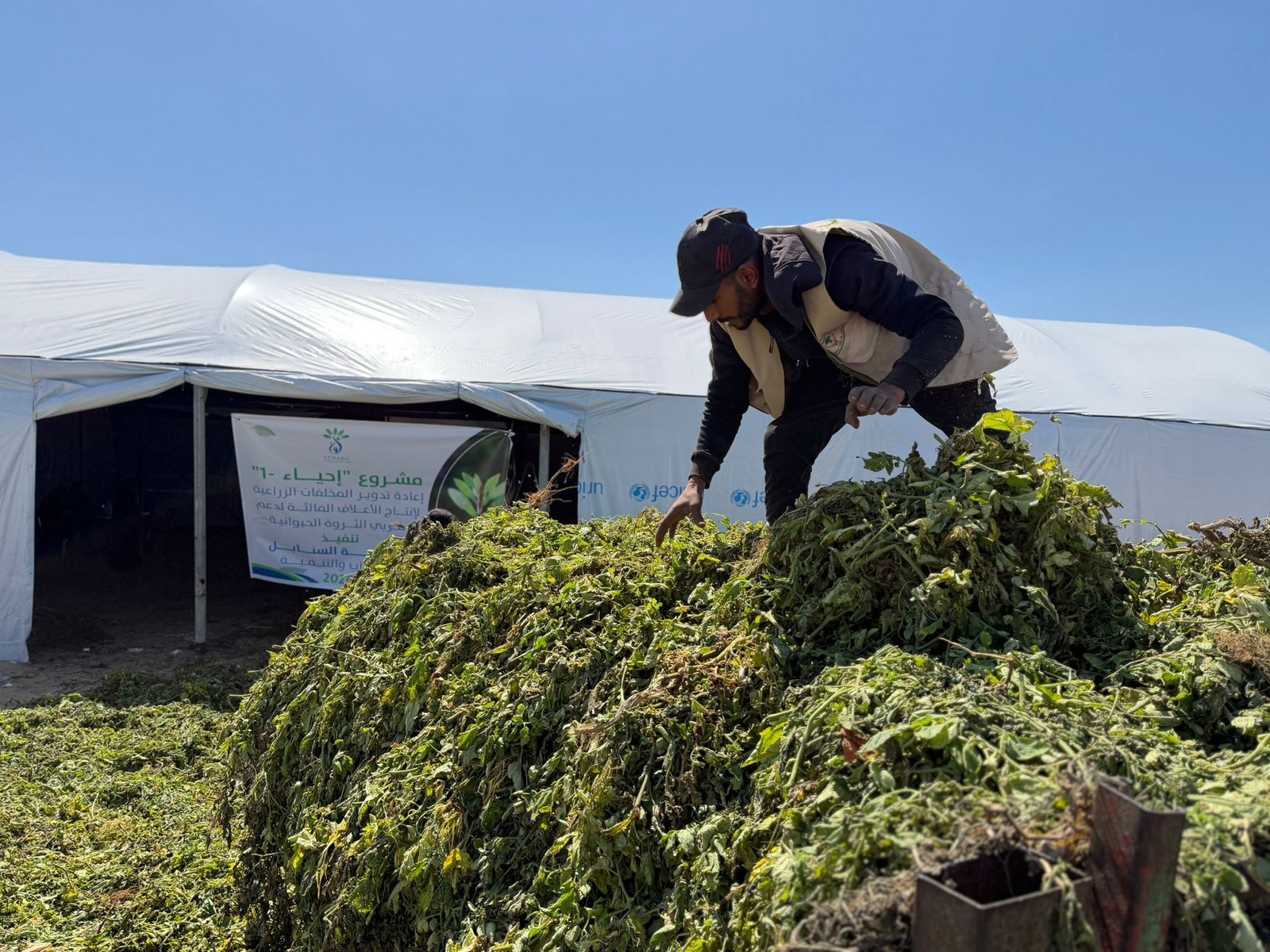 Animal Feed Production from Agricultural Waste