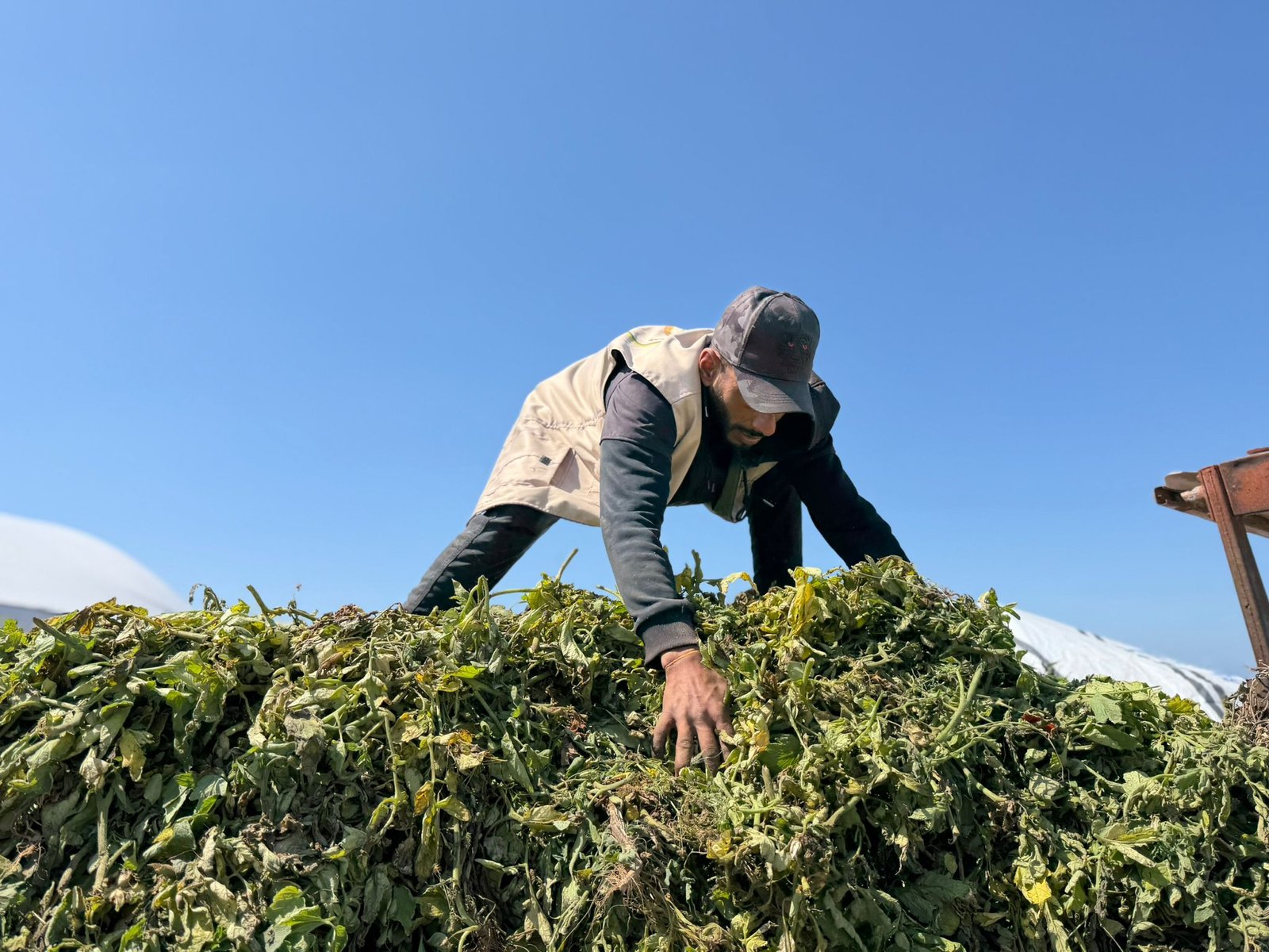 Gaza Black Gold Project (Compost Production)